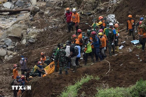 Lực lượng cứu hộ tìm kiếm nạn nhân tại hiện trường vụ lở đất do động đất ở Cianjur, Tây Java, Indonesia, ngày 25/11/2022. (Ảnh: THX/TTXVN)