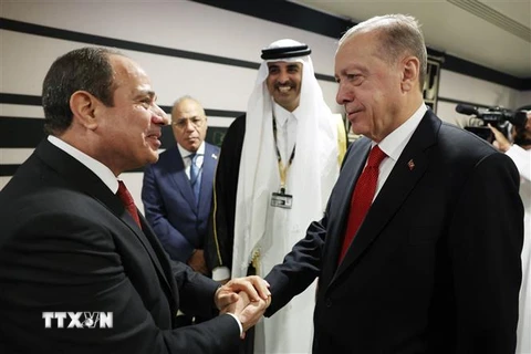 Tổng thống Ai Cập Abdel Fattah El-Sisi (trái) và Tổng thống Thổ Nhĩ Kỳ Recep Tayyip Erdogan (phải) trong cuộc gặp ở Doha, Qatar, ngày 20/11/2022. (Ảnh: AFP/TTXVN)