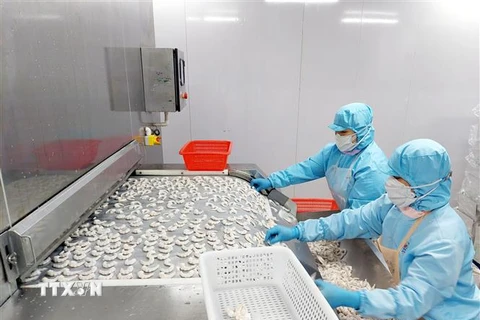 Sản xuất đông lạnh tôm theo quy chuẩn xuất khẩu nước ngoài tại Công ty cổ phần Thủy sản BNA huyện Ba Chẽ. (Ảnh: Thanh Vân/TTXVN)