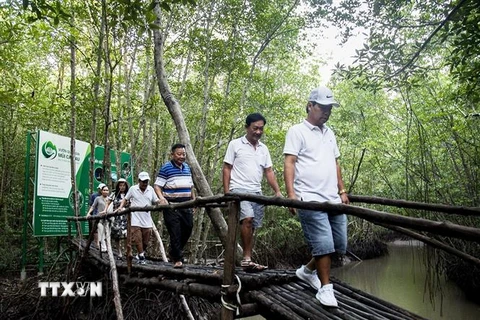Du khách tham gia tour xuyên rừng Đất Mũi Cà Mau. (Ảnh: Hồng Đạt/TTXVN)