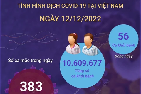 [Infographics] Cập nhật tình hình dịch bệnh COVID-19 ngày 12/12