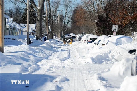 Tuyết phủ trắng tại Buffalo, New York, Mỹ. (Ảnh: AFP/TTXVN)