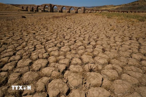 Hồ chứa nước Cijara ở Extremadura, Tây Ban Nha, cạn khô do thiếu mưa, ngày 15/8/2022. (Ảnh: THX/TTXVN)