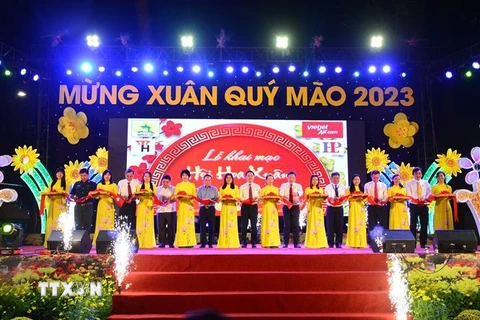 Hội Hoa Xuân Thành phố Hồ Chí Minh lần thứ 43 khai mạc tại Công viên Tao Đàn. (Ảnh: Hứa Chung/TTXVN)