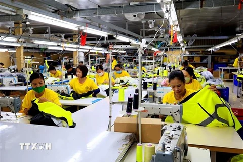 Người lao đông làm việc tại Công ty TNHH May mặc Dony, xã Vĩnh Lộc A, huyện Bình Chánh, Thành phố Hồ Chí Minh. (Ảnh: Hồng Đạt/TTXVN)