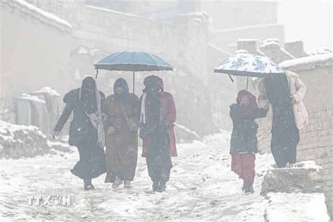 Tuyết rơi dày đặc tại Kabul, Afghanistan ngày 8/1/2023. (Ảnh: AFP/TTXVN)