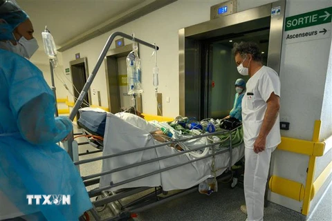 Bệnh nhân nhiễm COVID-19 được điều trị tại bệnh viện ở Mulhouse, Pháp, ngày 17/4/2020. (Ảnh: AFP/TTXVN)