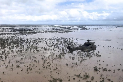Một chiếc trực thăng Oryx đã bị bắn ở Goma. (Nguồn: AFP)