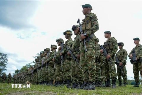 Binh sỹ Colombia tham gia cuộc diễn tập tại khu vực Tumaco, Narino. (AFP/TTXVN)