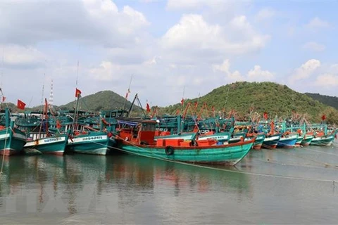 Các bị can bị bắt giữ liên quan đến những sai phạm chi hỗ trợ đóng mới tàu cá cho ngư dân. (Ảnh minh họa: Lê Huy Hải/TTXVN)