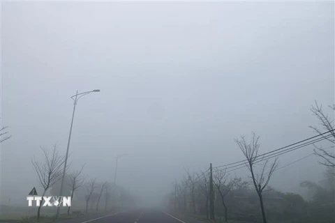 Sương mù dày đặc tại một tuyến đường ở huyện Thạch Hà, tỉnh Hà Tĩnh. (Ảnh: Hoàng Ngà/TTXVN)