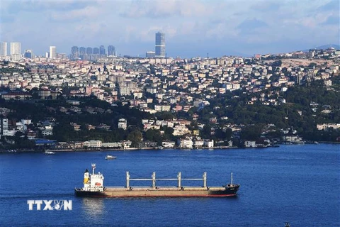 Tàu chở ngũ cốc di chuyển dọc Eo biển Bosphorus ở Istanbul, Thổ Nhĩ Kỳ, ngày 7/8/2022. (Ảnh: THX/TTXVN)