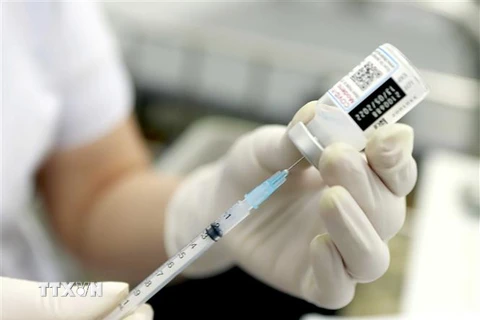 Vaccine Moderna phòng COVID-19. (Ảnh: Hoàng Hùng/TTXVN)