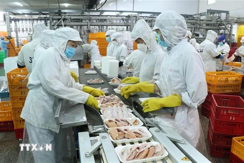 Người lao động làm việc tại Công ty TNHH San Hà, Bến Lức, Long An, Việt Nam. (Ảnh: Bùi Giang/TTXVN)
