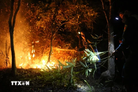 Hiện trường một đám cháy rừng trong đêm tại xã Noong Luống tháng 5/2019. (Ảnh: Tuấn Anh/TTXVN)