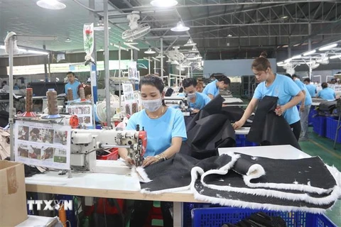 Số lao động làm việc tại Công ty cổ phần cắt may Sofa Hoa Sen (Khu Công nghiệp Long Đức, thành phố Trà Vinh) giảm hơn 50% so với thời điểm trước dịch COVID-19 do thiếu đơn hàng. (Ảnh: Thanh Hòa/TTXVN) 