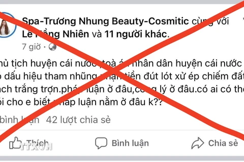 Nội dung bài đăng sai sự thật của bà T.H.N trên mạng xã hội Facebook. (Ảnh: TTXVN phát)