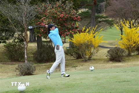 Một nam golf thủ thi đấu tại giải Sakura Championship 2023. (Ảnh: Đào Thanh Tùng/TTXVN)