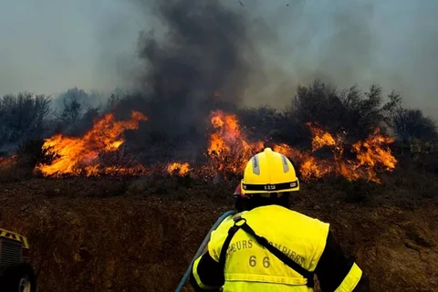 Một máy bay thả bom nước để dập tắt đám cháy rừng tại Pháp. (Nguồn: AP)