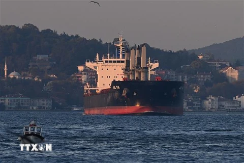 Tàu chở ngũ cốc của Ukraine di chuyển qua Eo biển Bosphorus ở Istanbul, Thổ Nhĩ Kỳ ngày 2/11/2022. (Ảnh: AFP/TTXVN)
