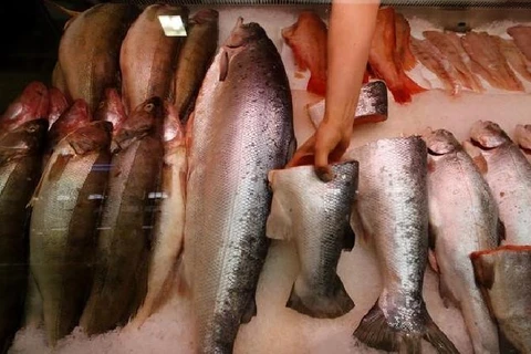 Hàn Quốc giám sát kỹ lưỡng xuất xứ các mặt hàng hải sản nhập khẩu