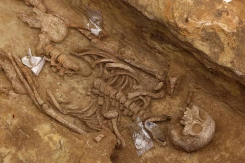 Một trong những bộ xương cổ đại được khai quật. (Nguồn: AFP)