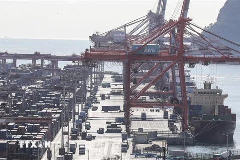 Hàng hóa tại cảng container ở Busan, Hàn Quốc. (Ảnh: Yonhap/TTXVN