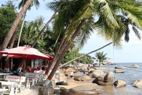 Cây dừa nằm nổi tiếng tại Bãi Xếp, đảo Kiên Hải, Kiên Giang là điểm thu hút du khách tới đây. (Ảnh: Lê Sen/TTXVN)