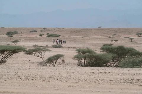 Sân bay vũ trụ đầu tiên của châu Phi đã được lên kế hoạch xây dựng tại sa mạc Djibout. (Ảnh NDR)