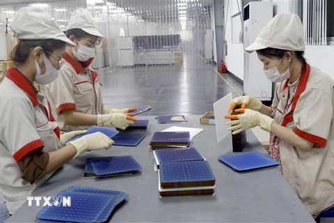 Công nhân Công ty cổ phần Vietnam Sunegry tại Khu công nghiệp Đình Trám, Bắc Giang trong dây chuyền sản xuất tấm pin năng lượng Mặt Trời. (Ảnh: Đồng Thúy/TTXVN)