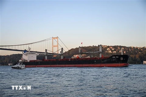 Tàu chở ngũ cốc của Ukraine di chuyển qua Eo biển Bosphorus ở Istanbul, Thổ Nhĩ Kỳ ra khu vực biển Marmara, ngày 2/11/2022. (Ảnh: AFP/TTXVN)