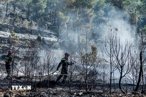 Nhân viên cứu hỏa nỗ lực khống chế đám cháy rừng tại Fuente de la Reina, Tây Ban Nha, ngày 29/3/2023. (Ảnh: AFP/TTXVN)