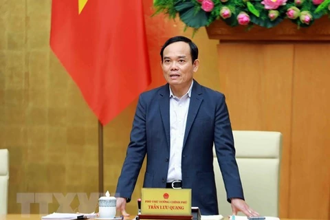 Phó Thủ tướng Trần Lưu Quang. (Ảnh: Thanh Thảo/TTXVN phát) 