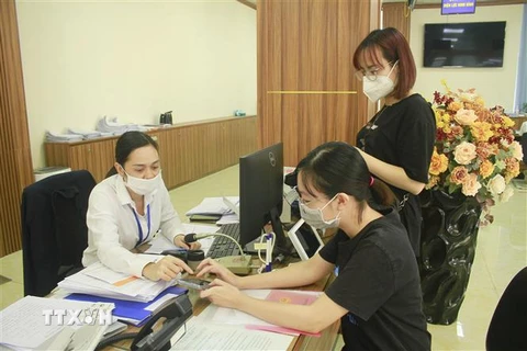 Cán bộ tại Trung tâm hành chính công tỉnh Ninh Bình hướng dẫn người dân sử dụng các dịch vụ công trực tuyến. (Ảnh minh họa: Hải Yến/TTXVN)