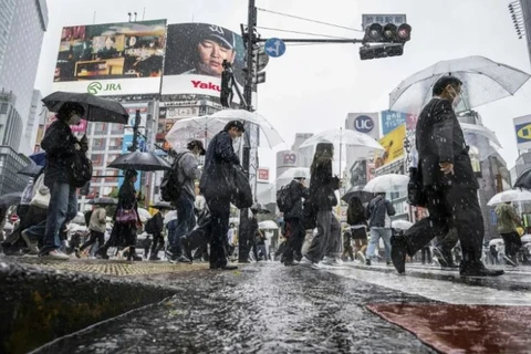 Bão Mawar gây mưa lớn tại Nhật Bản. (Nguồn:AFP)