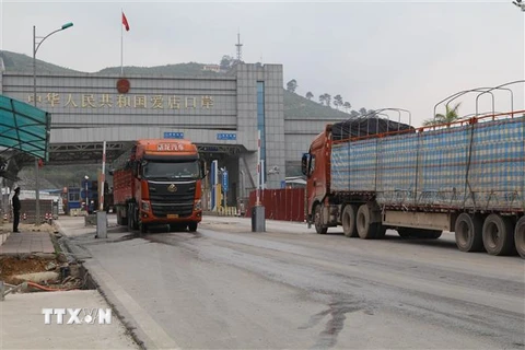 Phương tiện chở hàng thông quan qua luồng xuất nhập khẩu tại cửa khẩu Chi Ma, Lạng Sơn. (Ảnh: Quang Duy/TTXVN)