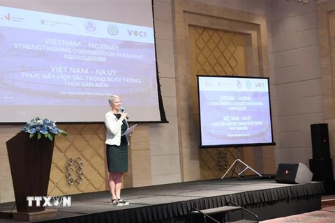 Đại sứ Na Uy tại Việt Nam, bà Hilde Solbakken, phát biểu tại Hội thảo. (Ảnh: Đặng Tuấn/TTXVN)