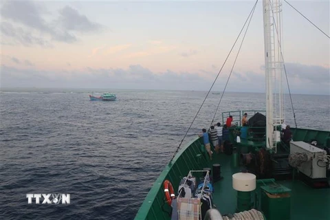 Tàu cá của ngư dân các tỉnh đang khai thác tại ngư trường Trường Sa. (Ảnh: Nguyễn Văn Nhật/TTXVN)