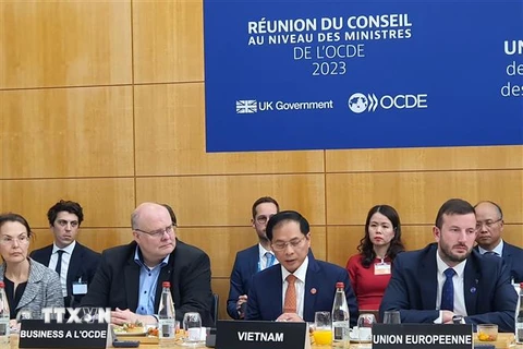 Bộ trưởng Ngoại giao Bùi Thanh Sơn phát biểu tại phiên thảo luận về “Phát thải ròng bằng không, phát triển bền vững, đa dạng sinh học” tại Hội nghị Hội đồng Bộ trưởng OECD 2023. (Ảnh: Thu Hà/TTXVN)
