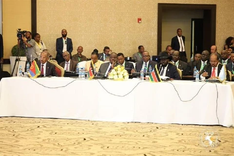 Eritrea tham dự Hội nghị thượng đỉnh IGAD lần thứ 14 ở Djibouti. (Ảnh: Ahram)