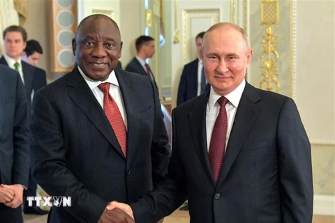 Tổng thống Nga Vladimir Putin (phải) và Tổng thống Nam Phi Cyril Ramaphosa trong cuộc gặp tại Strelna, ngoại ô Saint Petersburg (Nga) ngày 17/6/2023. (Ảnh: AFP/TTXVN)