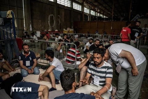 Những người được cứu trong vụ chìm tàu chở người di cư được đưa tới cảng ở thị trấn Kalamata, Hy Lạp, ngày 15/6/2023. (Ảnh: AFP/TTXVN)