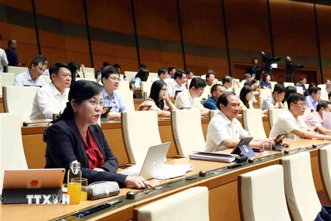 Đoàn đại biểu Quốc hội tỉnh Thái Nguyên biểu quyết thông qua Nghị quyết về Chương trình xây dựng luật, pháp lệnh năm 2024. (Ảnh: Phạm Kiên/TTXVN)