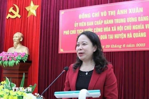 Phó Chủ tịch nước Võ Thị Ánh Xuân phát biểu tại buổi làm việc với Ban Thường vụ Huyện ủy Hà Quảng. (Ảnh: Văn Đạt/TTXVN)