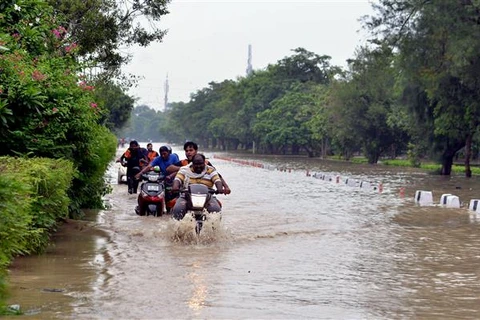 Cảnh ngập lụt tại New Delhi, Ấn Độ ngày 13/7/2023. (Ảnh: THX/TTXVN)