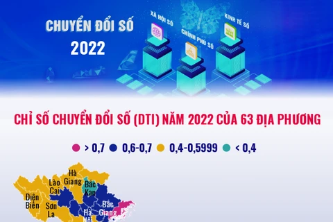 [Infographics] Chỉ số Chuyển đổi Số năm 2022 của 63 địa phương