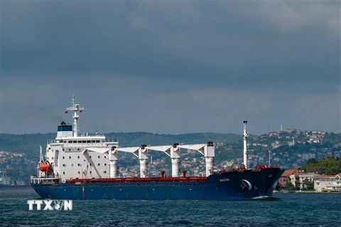 Tàu chở ngũ cốc di chuyển dọc Eo biển Bosphorus, Istanbul, Thổ Nhĩ Kỳ. (Ảnh: AFP/TTXVN)