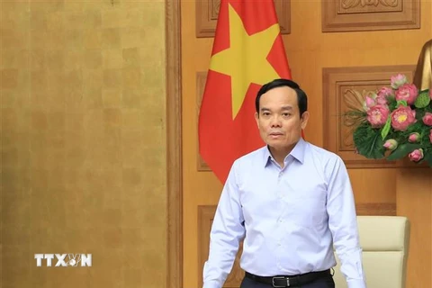 Phó Thủ tướng Trần Lưu Quang phát biểu. (Ảnh: Lâm Khánh/TTXVN)