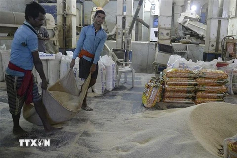 Công nhân làm việc tại một nhà máy xay xát gạo ở Hyderabad, Ấn Độ. (Ảnh: AFP/TTXVN)