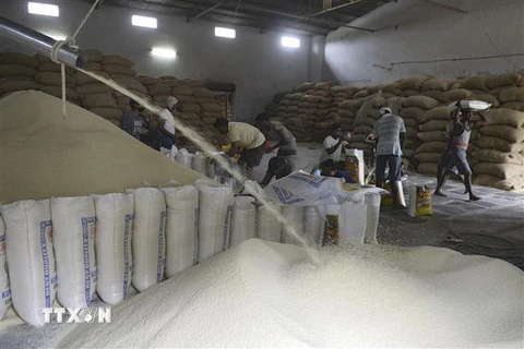 Công nhân làm việc tại nhà máy gạo ở Hyderabad, Ấn Độ. (Ảnh: AFP/TTXVN)